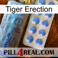 Tiger Erection 40